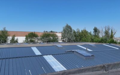 Nieuw dak met dakpanelen voor Haemers in Gullegem