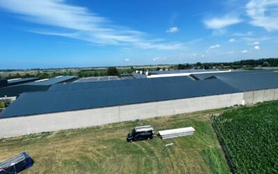 Dakrenovatie Veurnse Spinnerij in vier werkdagen